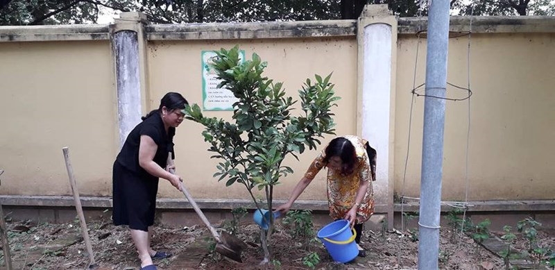 Trường mầm non Long Biên tổ chức trồng cây đầu Xuân Kỷ Hợi  2019.

